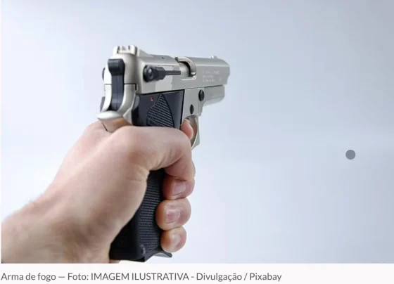 Registros de armas de fogo caem 74% no primeiro ano de governo Lula