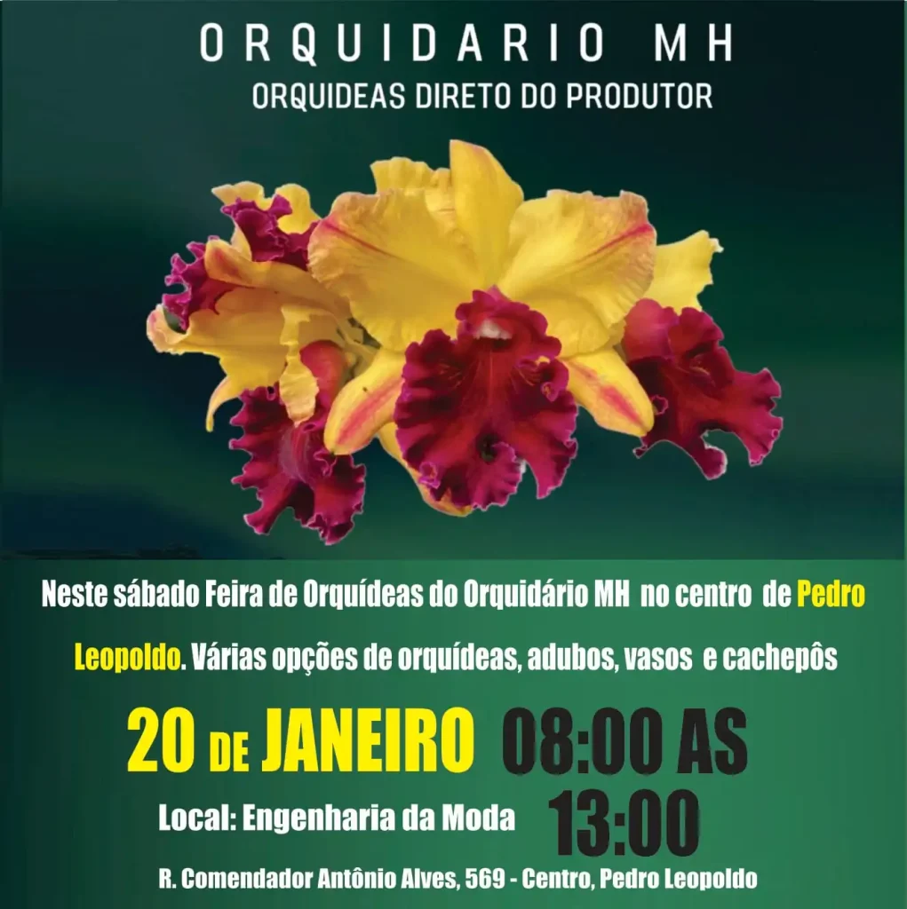 Feira de Orquídeas será realizada neste sábado em Pedro Leopoldo