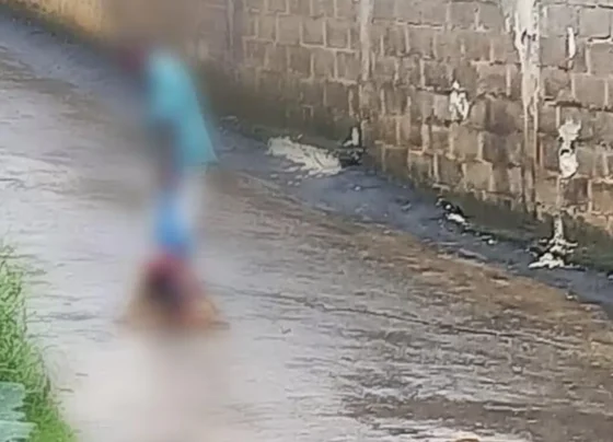 Idoso é preso enquanto se preparava para cozinhar cachorro que ele matou em MG