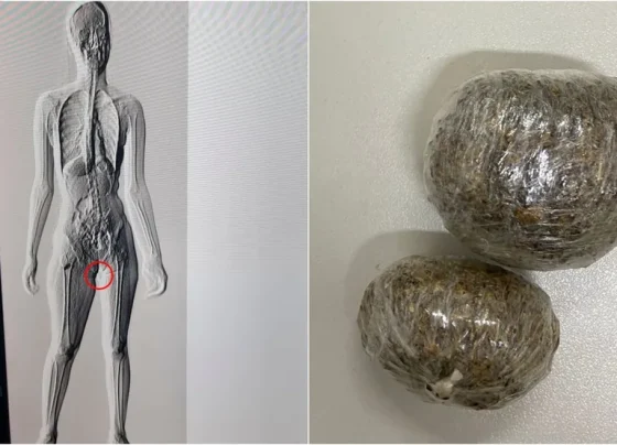 Mulher é presa tentando entrar em cadeia com drogas em partes íntimas