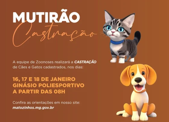 Mutirão de castração de cães e gatos em Matozinhos