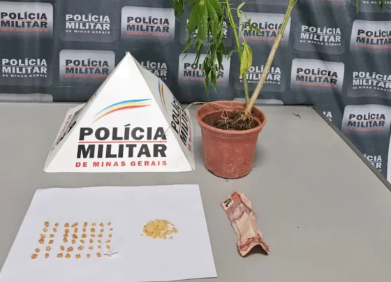Operação Tático Móvel desarticula tráfico ilícito de drogas