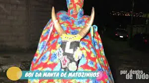 Trânsito será interrompido para o Boi da Manta do Lelê em Matozinhos