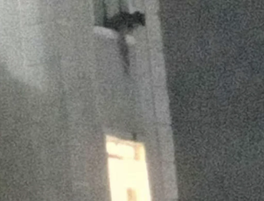 Homem que filmou vizinha nua em BH diz que matava barata