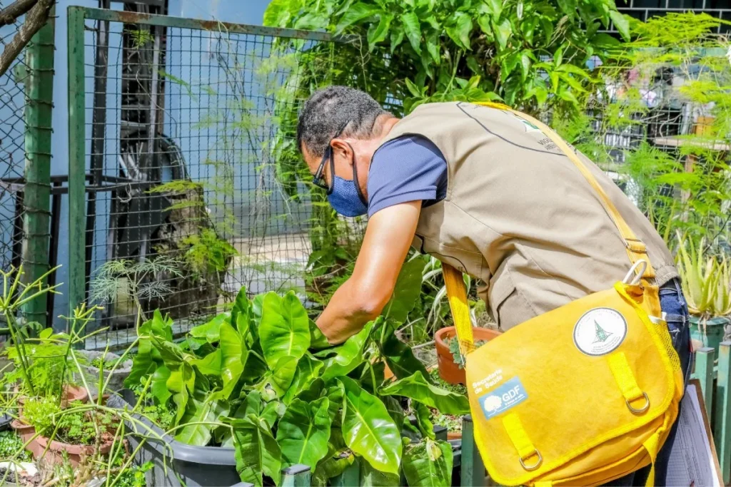 Mutirão de vistorias contra a Dengue em Pedro Leopoldo: 40 imóveis e lotes já foram vistoriados