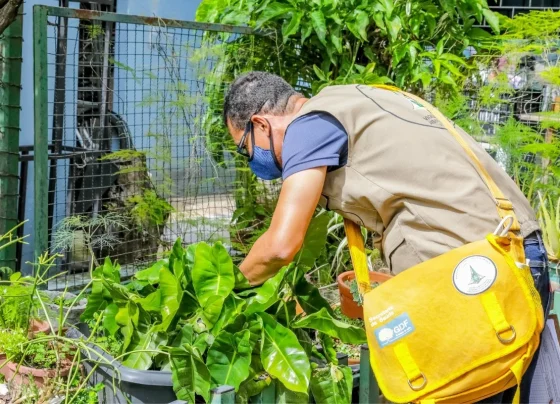 Mutirão de vistorias contra a Dengue em Pedro Leopoldo: 40 imóveis e lotes já foram vistoriados