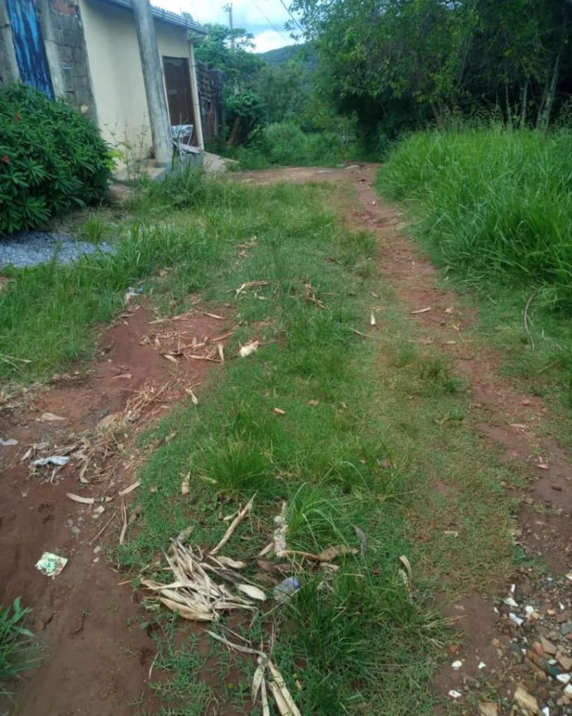 Situação precária de rua e mato alto deixa moradores indignados em Matozinhos