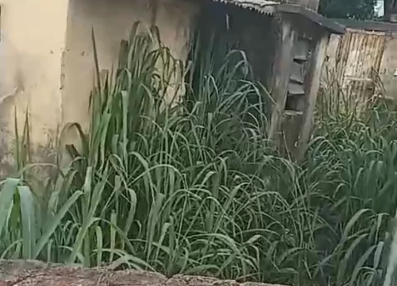 VÍDEO: Morador do bairro São Geraldo, em Pedro Leopoldo, denuncia riscos de imóvel abandonado durante período de Dengue