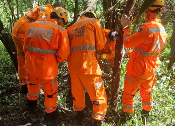 Cão é resgatado dentro de cisterna abandonada em Pedro Leopoldo