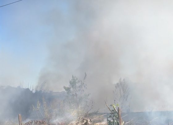 Incêndio de Grandes Proporções Atinge Terreno em Matozinhos e Preocupa Moradores