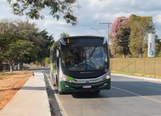 São José da Lapa terá tarifa zero no transporte público