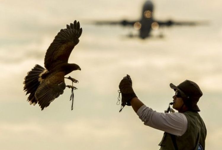 Imagem Ilustrativa/ BBC.com