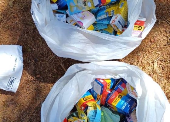 Dezenas de medicamentos são descartados irregularmente no Barrocão em Matozinhos
