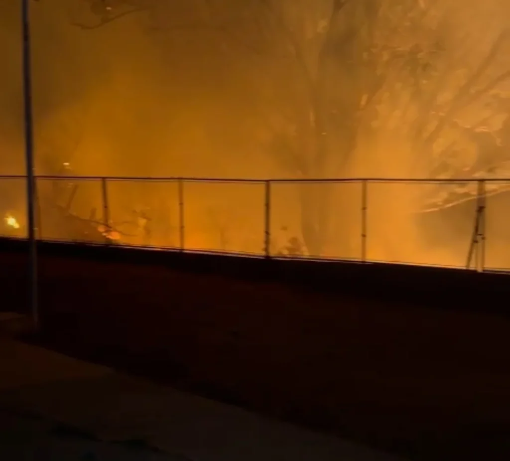 Polícia identifica suspeita de incêndio em vegetação no Bairro Magalhães, em Pedro Leopoldo