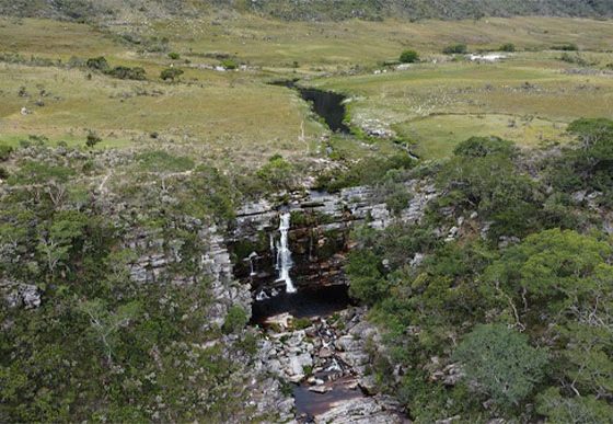 Foto: Evandro Rodney / IEF