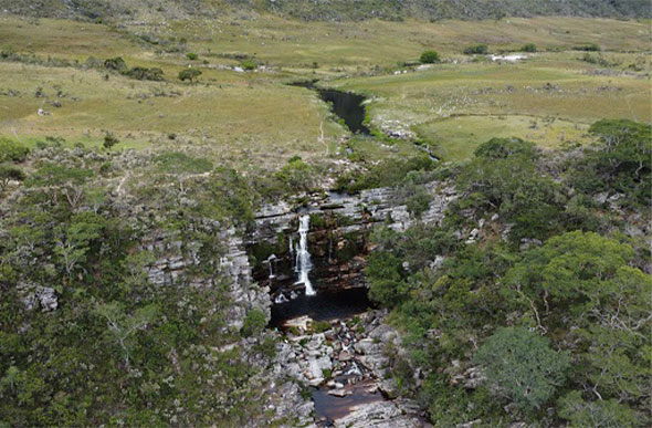 Foto: Evandro Rodney / IEF