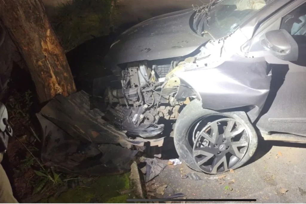 Veículo colide com árvore ao desviar de animal em Pedro Leopoldo