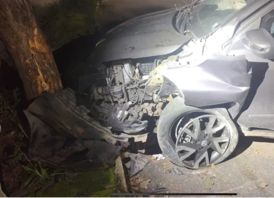 Veículo colide com árvore ao desviar de animal em Pedro Leopoldo