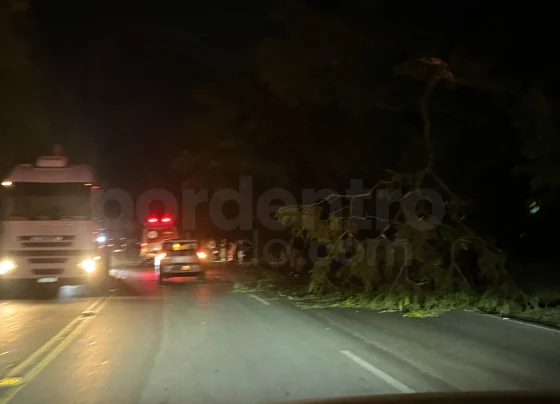 Acidente de moto em Pedro Leopoldo após galho de árvore cair na MG-424