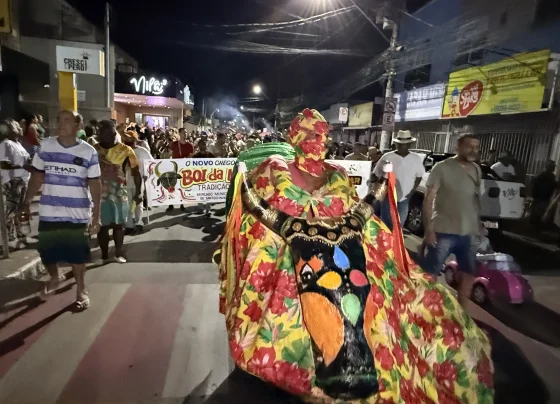 Boi da Manta do Lelê acontece nesta sexta-feira em Matozinhos