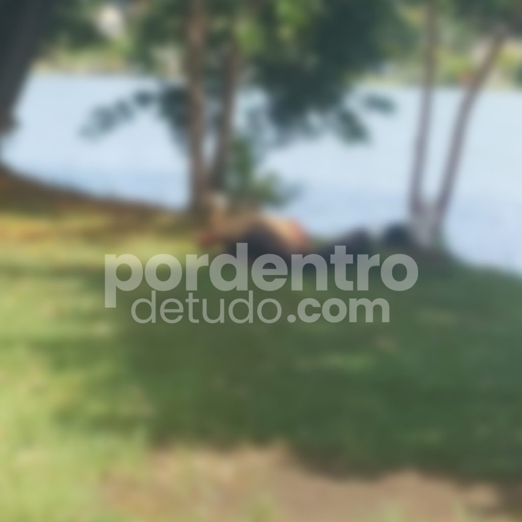 Corpo de homem é encontrado na orla da Lagoa Boa Vista em Sete Lagoas