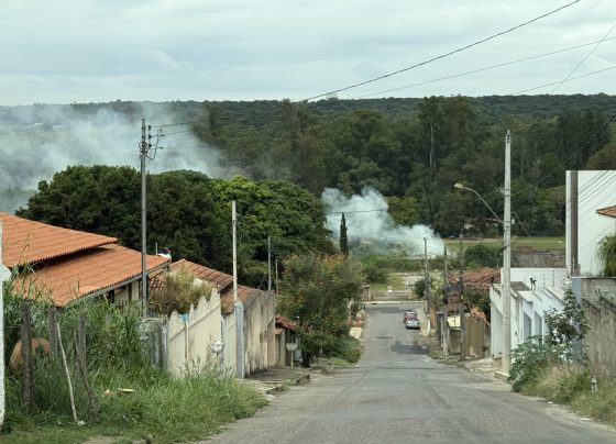 Aberta a temporada de queimadas em Matozinhos: fogo no bairro Progresso gera revolta e alerta para o problema