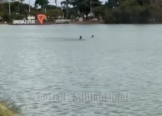 Homens são flagrados pescando com rede na Lagoa Paulino em Sete Lagoas