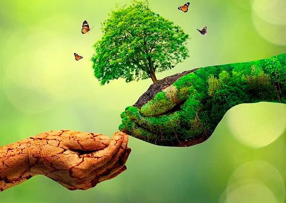 17 de maio Dia Internacional da Reciclagem/ Reprodução internet