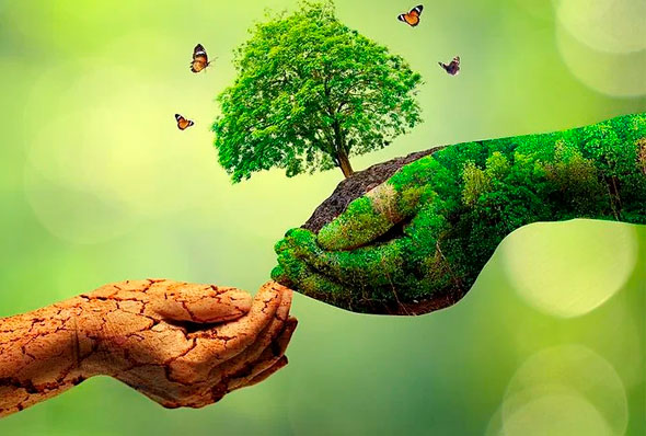 17 de maio Dia Internacional da Reciclagem/ Reprodução internet