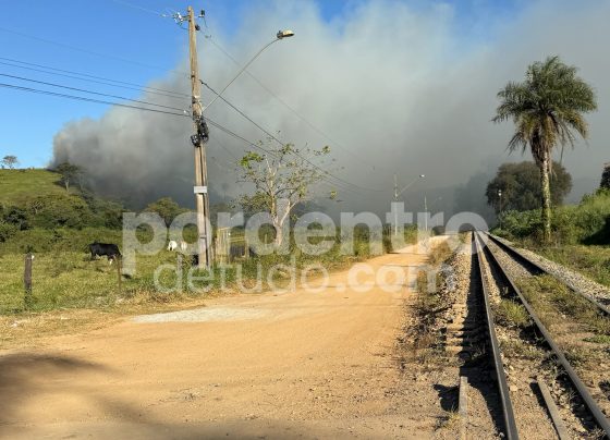 Incêndio de grandes proporções atinge área de mata em Matozinhos