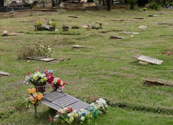 Limpeza e manutenção são realizadas no Cemitério Central de Pedro Leopoldo