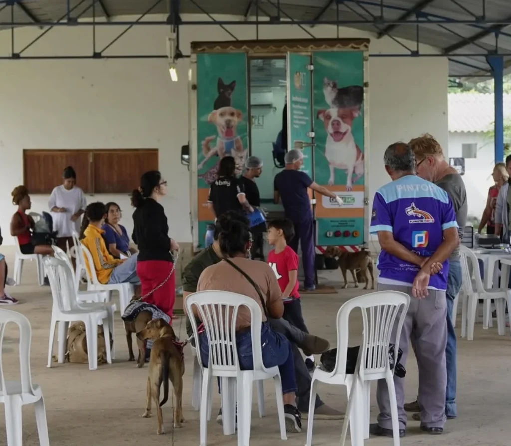 Mais de 350 animais são castrados em ação gratuita em Pedro Leopoldo