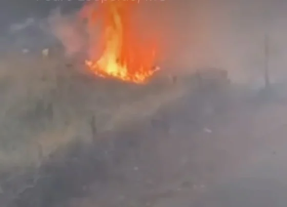 Defesa Civil age rapidamente e evita que incêndio se alastre próximo a posto de saúde e lar de idosos no bairro Santa Tereza, em Pedro Leopoldo