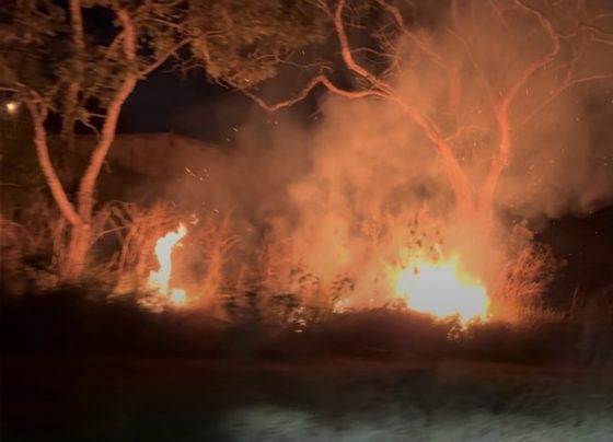 Incêndio atinge lotes às margens da estrada de Mocambeiro, em Matozinhos