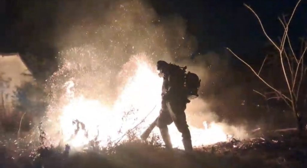 Defesa Civil controla incêndio em área de mata próximo à UPA de Matozinhos