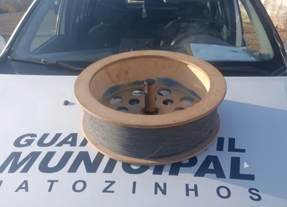 Guarda Civil Municipal de Matozinhos apreende linha chilena durante patrulhamento escolar