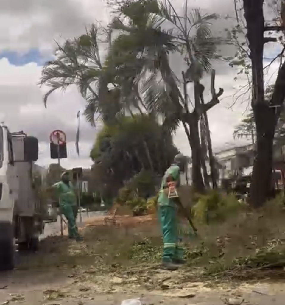 VÍDEO: Poda de árvores mobiliza equipes da Vina na Praça Dr. Senra neste domingo (31)