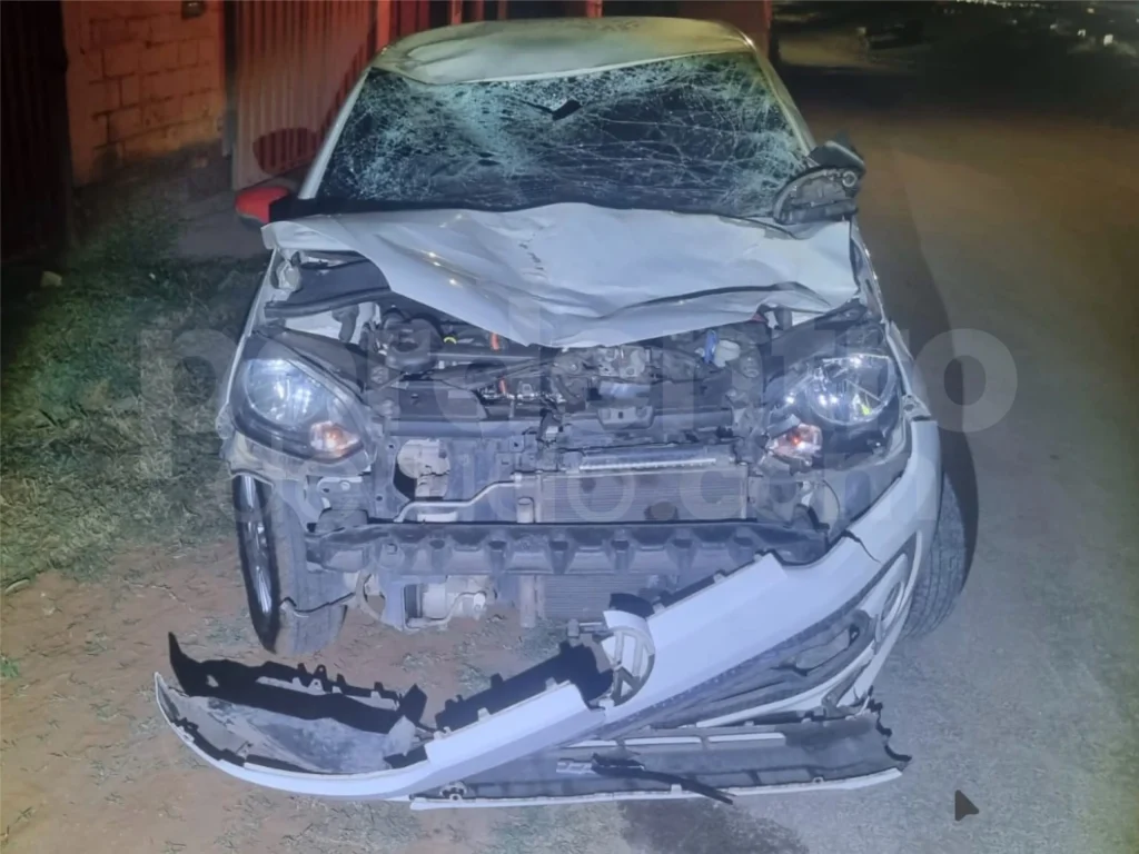Carro fica com a frente destruída após atropelamento de cavalo na MG-424