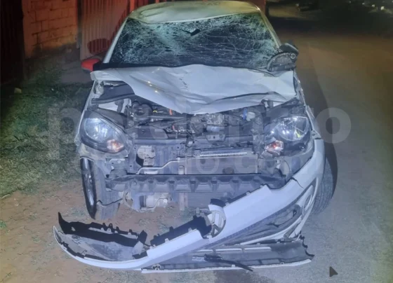 Carro fica com a frente destruída após atropelamento de cavalo na MG-424