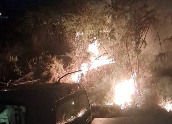 Incêndio atinge área de vegetação no bairro Presidente, em Matozinhos