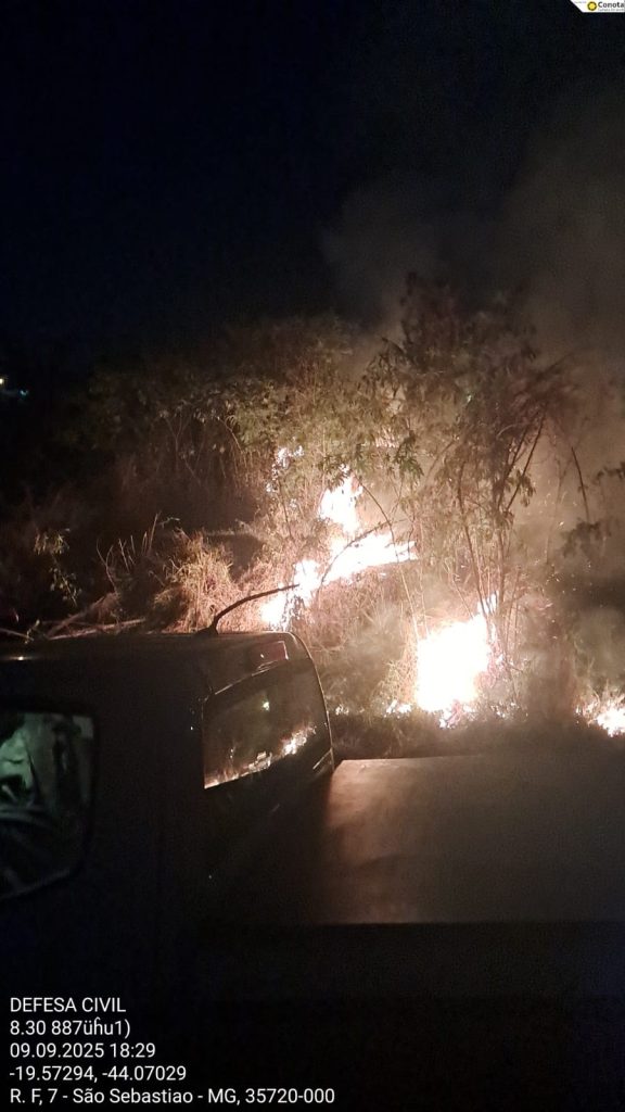 Incêndio atinge área de vegetação no bairro Presidente, em Matozinhos
