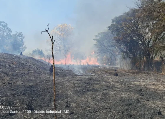 Incêndio mobiliza Defesas Civis de Matozinhos e Pedro Leopoldo no Distrito Industrial