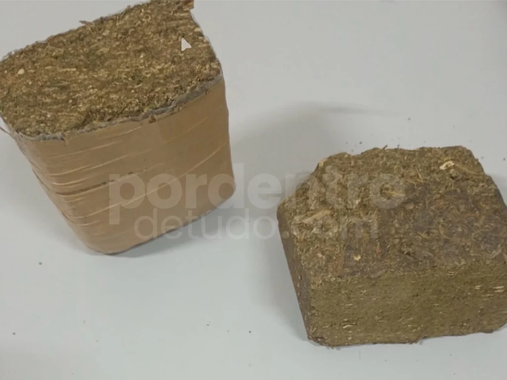 Polícia apreende 74 buchas e 2 barras de maconha em terreno no Centro de Pedro Leopoldo