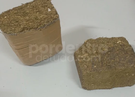 Polícia apreende 74 buchas e 2 barras de maconha em terreno no Centro de Pedro Leopoldo