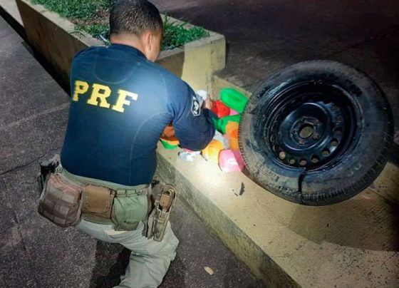 Apreensão aconteceu em Betim / Foto: PRF / divulgação