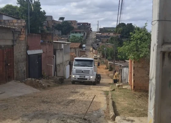 Defesa Civil e órgãos municipais realizam ações contra febre maculosa no Vista Alegre, em Matozinhos