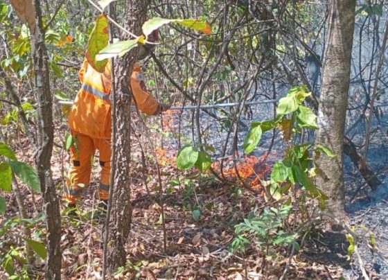 Incêndio na Serra de Santa Helena, em Sete Lagoas, chega ao quarto dia de combate