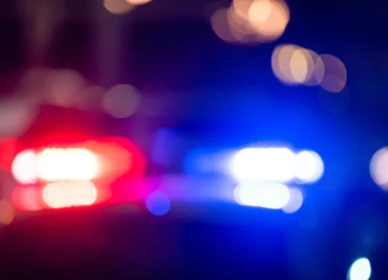 Justiça condena homem a 44 anos de prisão por mandar matar colega entre Sete Lagoas e Funilândia