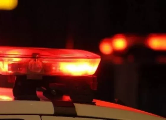 Polícia apreende 98 porções de drogas em operação dentro de prédio em Matozinhos