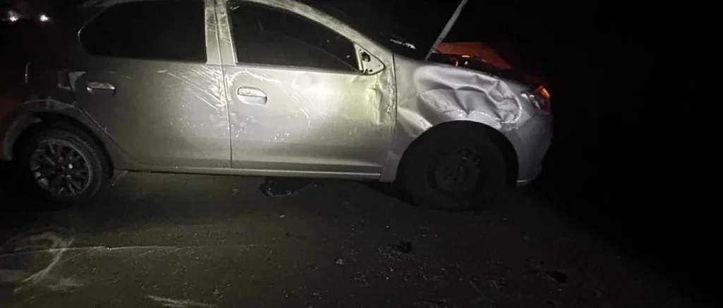 Animal na pista provoca acidente com vítima na MG-238, em Sete Lagoas